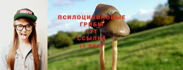 не бодяженный Аркадак