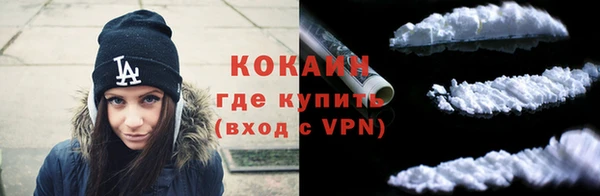 индика Армянск