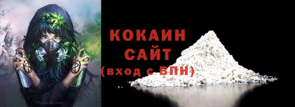 индика Армянск