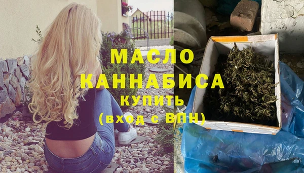 индика Армянск