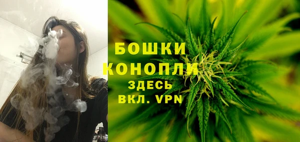 мяу мяу мука Весьегонск