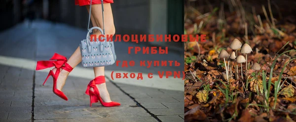 не бодяженный Аркадак